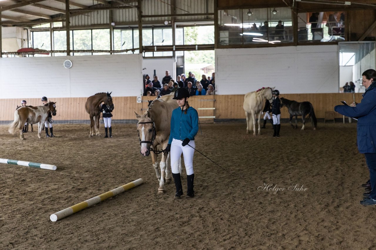 Bild 37 - Pony Akademie Turnier